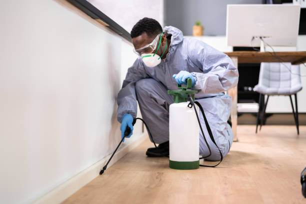 Professional Pest Control in Green Meadows, OH